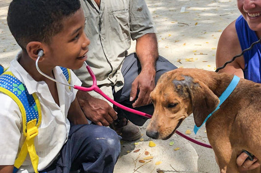“Sunsets & No Extra Pets”- Brewer Vet Clinic Comes to Roatan