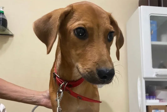 Wednesday at the clinic