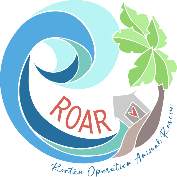 ROARescue