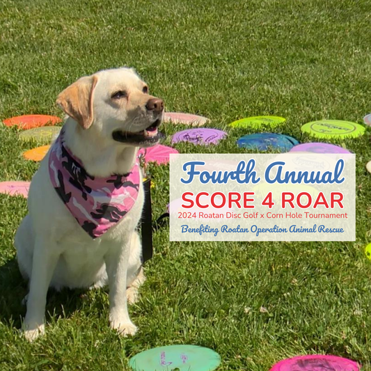 Fourth Annual SCORE 4 ROAR | 2024 Roatan Disc Golf x Cornhole Tournament