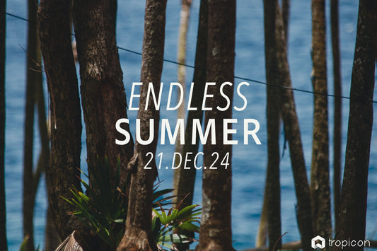 Endless Summer Music Experience in Keyhole Bay