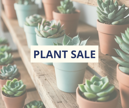 2nd Annual Plant Sale & Swap