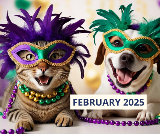 5th Annual February Fundraiser 2025 | Mardi Gras Carnival