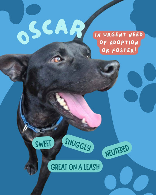 Oscar
